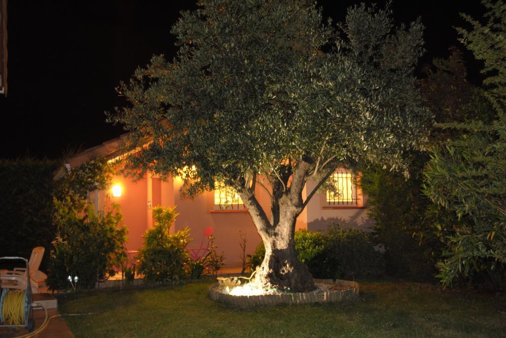 Les Cypres Florentins Colomiers Habitación foto